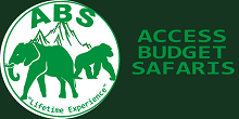 Access Budget Safaris